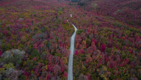 Otoño-Naturaleza-Otoñal-Paisaje-Forestal-En-Utah---Vuelo-Aéreo-De-Drones