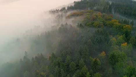 Sobrevuelo-De-Un-Bosque-De-Niebla-Durante-El-Amanecer-En-Otoño