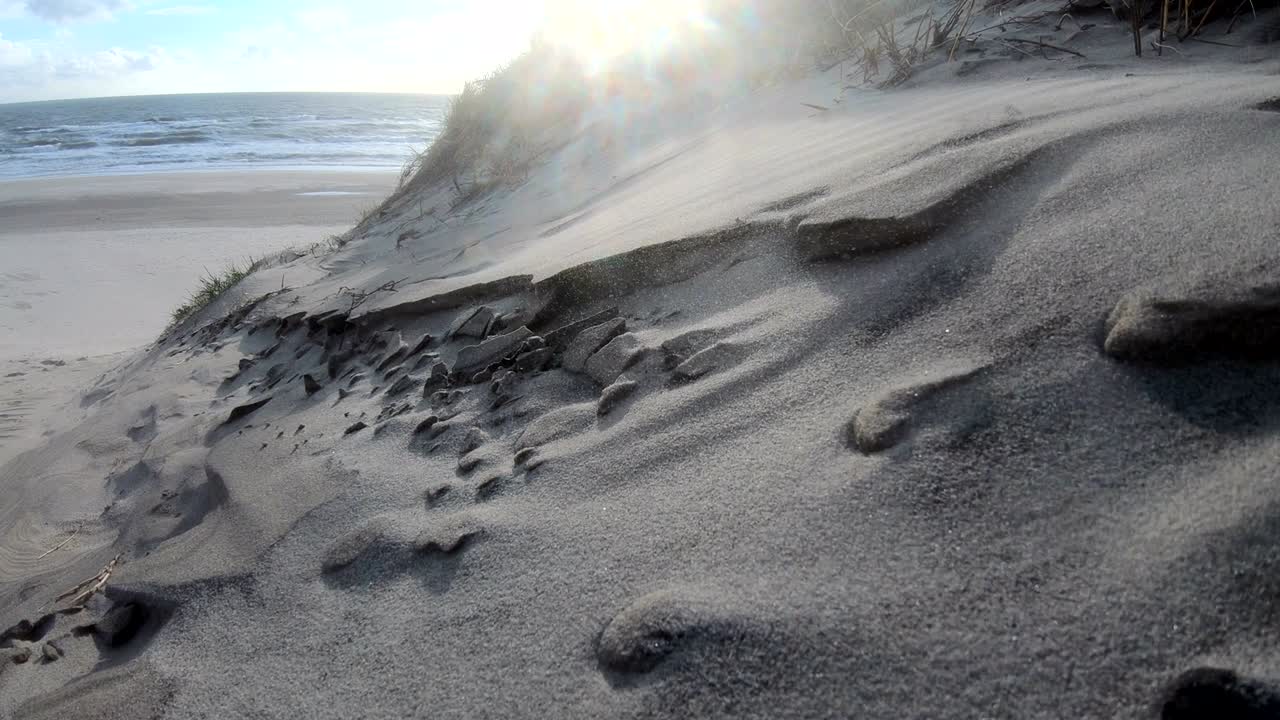 Sand dunes with dune grass in the storm of the North Sea, hiking dunes, dike protection, Sondervig, Jutland, Denmark, 4k