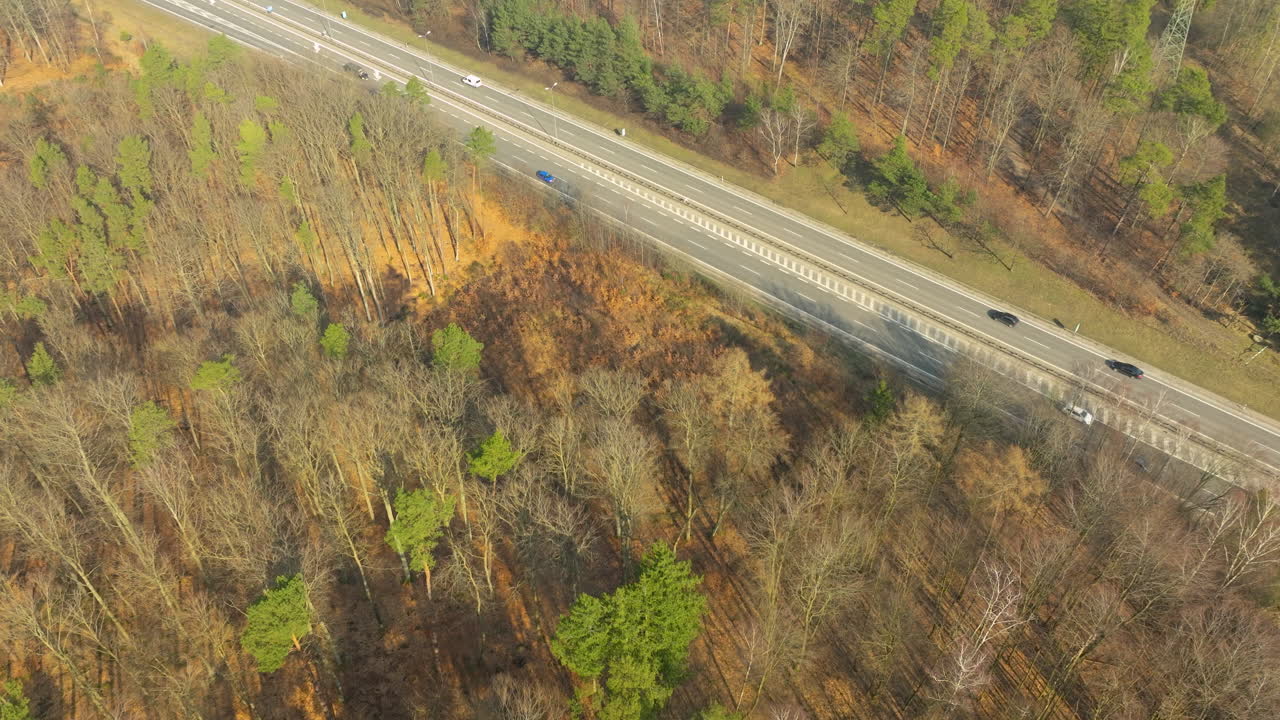 una vista aérea captura la carretera s6 cerca de gdynia, polonia, mientras atraviesa un paisaje boscoso, con la transición de las estaciones evidente en la mezcla de árboles de hoja caduca de color perenne y otoño.