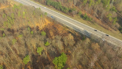 an aerial view captures the s6 road near gdynia, poland, as it cuts through a forested landscape, with the transition of seasons evident in the mix of evergreen and autumn-colored deciduous trees