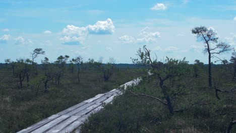 Beautiful-empty-bog-footbridge-path-in-Dunika-in-hot-summer-day-with-scenic-clouds,-wide-shot-with-heat-waves