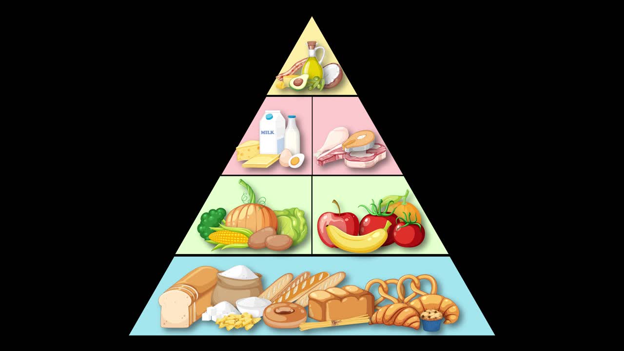 Animated food pyramid builds layer by layer, illustrating food groups ...