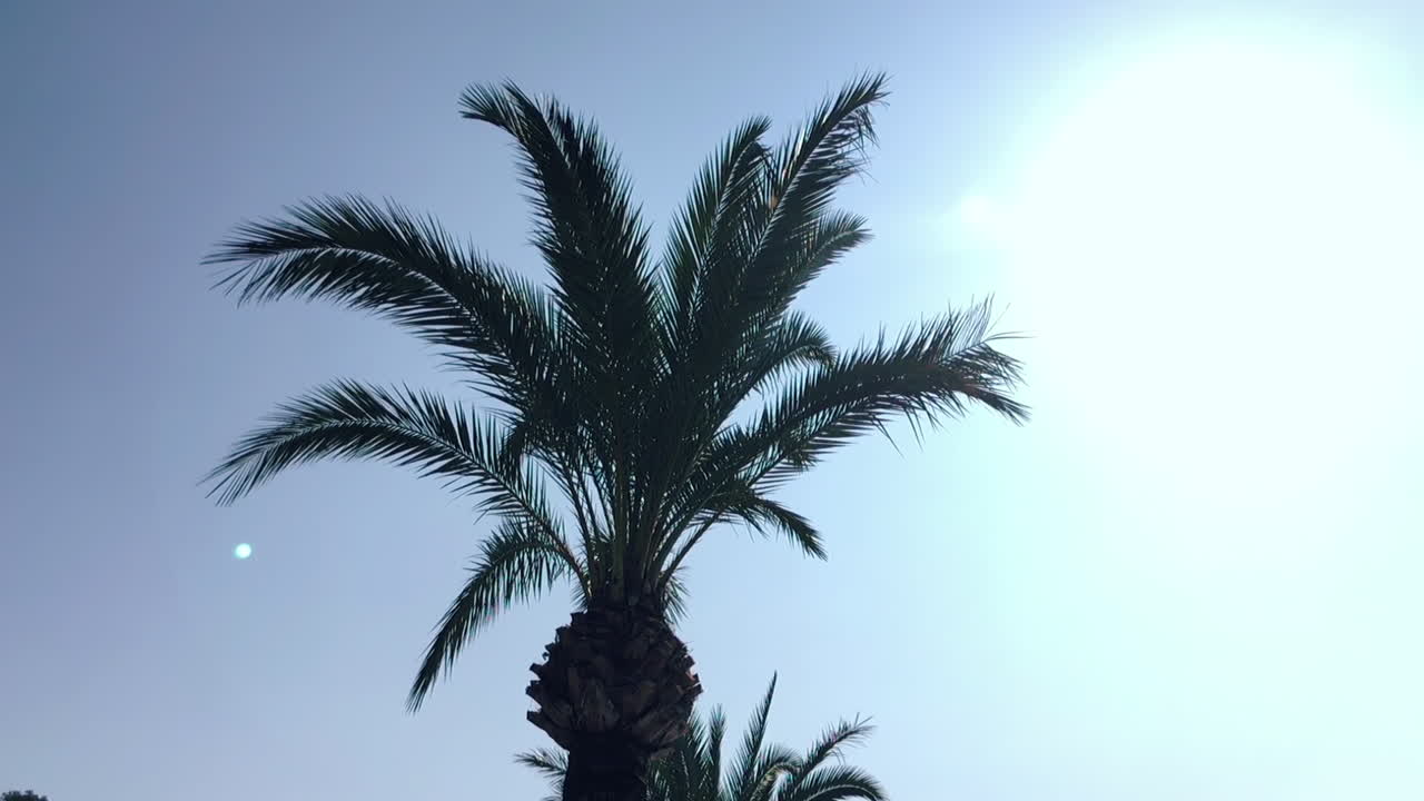 니자에서의 휴가