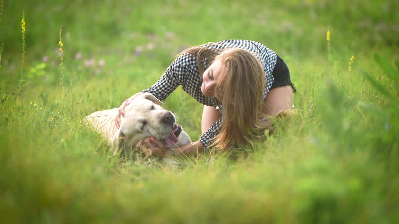 공원에서 개와 놀고 있는 소녀
