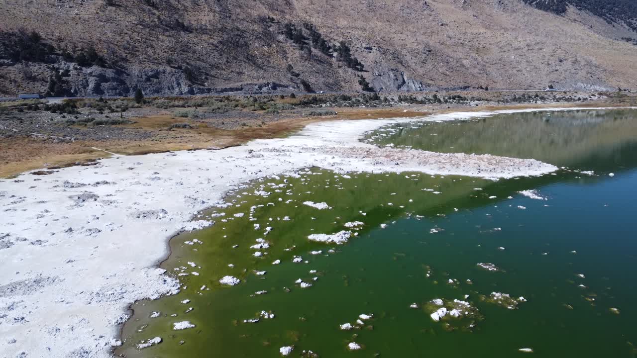 A drone flying over a shoreline with green water