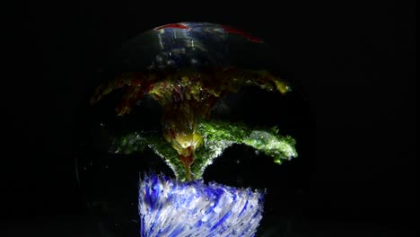 biosphere on rotating display isolated on dark background