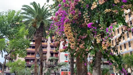 En-La-Ciudad-De-Bari,-Italia,-Se-Desarrolla-Una-Escena-Fascinante-Mientras-La-Cámara-Se-Desplaza-Desde-Los-Vibrantes-árboles-Hacia-El-Cielo-Nublado,-Exudando-Una-Vista-Aún-Más-Impresionante.