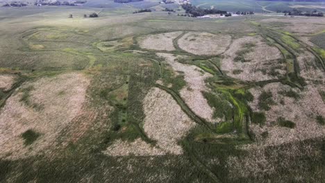 Aerial-Drone-Video-Wind-Damage-To-Rural,-Agrarian-Agricultural-Crops-And-Farmland-In-The-Midwest-Heartland-Of-Iowa