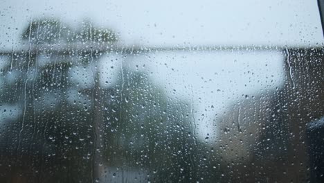 gotas de lluvia cayendo por los árboles de la ventana de vidrio en el fondo