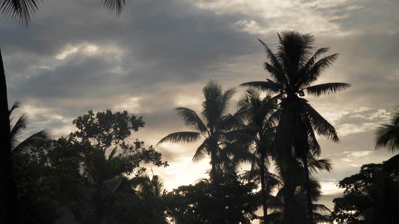 el tranquilo sol de la mañana está a punto de alcanzar su punto máximo sobre el horizonte creando siluetas de palmeras.