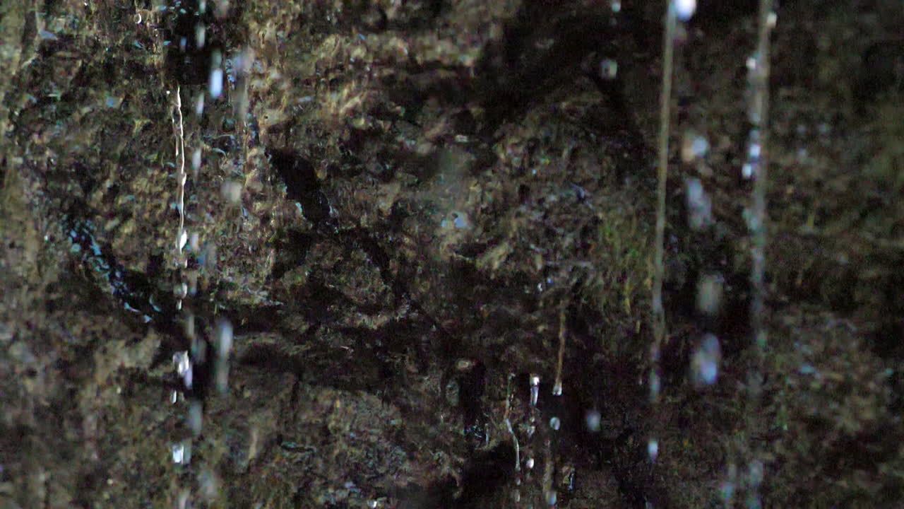Water Dripping slow motion...180 frames per second