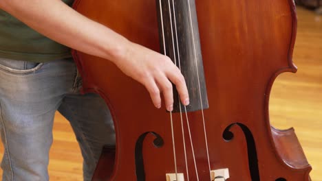 un hombre tocando el contrabajo con sus dedos en pizzicato