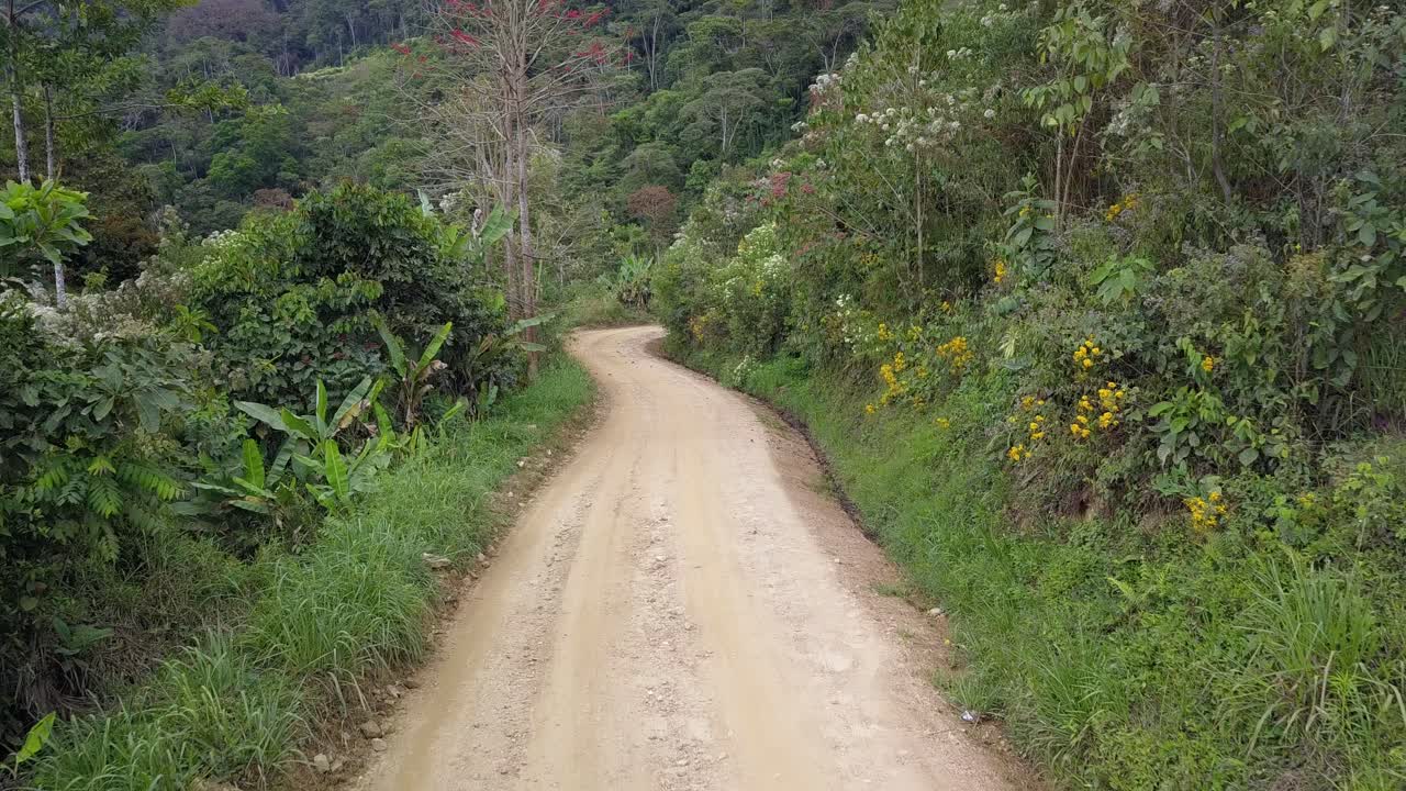 볼리비아 산악 정글 에 있는 커피 농장