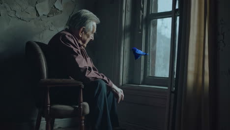 an elderly man sitting by the window