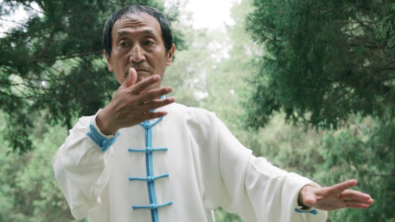Slow motion video of an old and skilled kung foo master practicing his moves in a forest in japan
