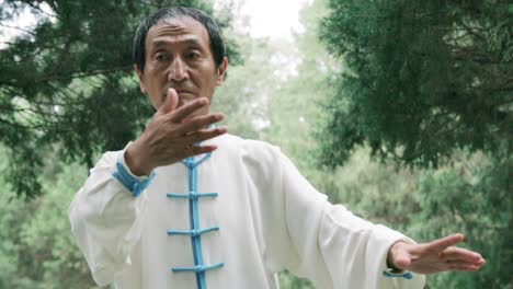 slow motion video of an old and skilled kung foo master practicing his moves in a forest in japan