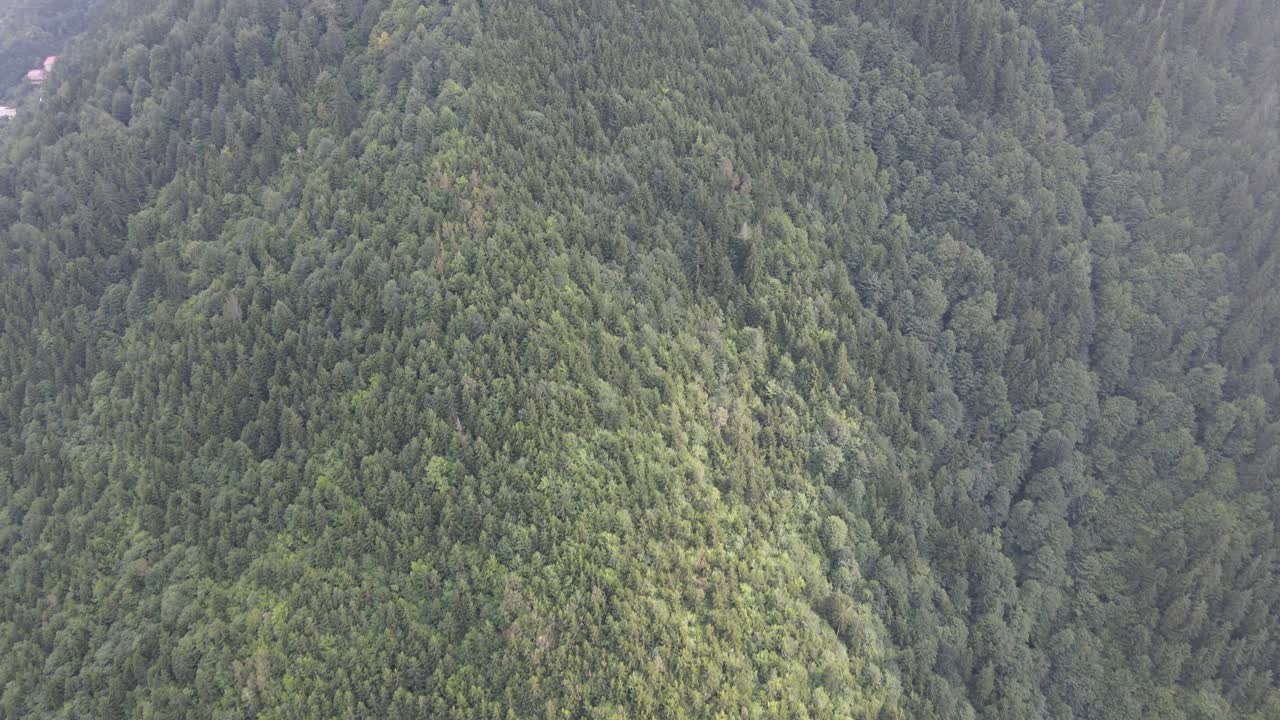 paisaje montañoso con densos bosques, verde y nublado vista de drone