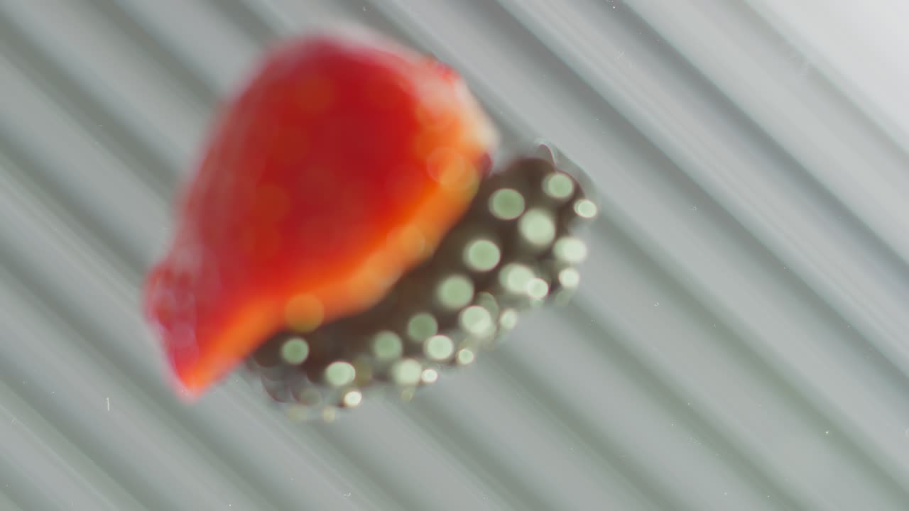 과일 이 부러지고 전시 되어 있습니다.