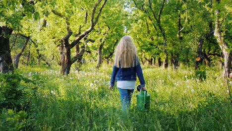 A-Little-Girl-With-A-Watering-Can-Goes-On-An-Apple-Orchard-Steadicam-Shot