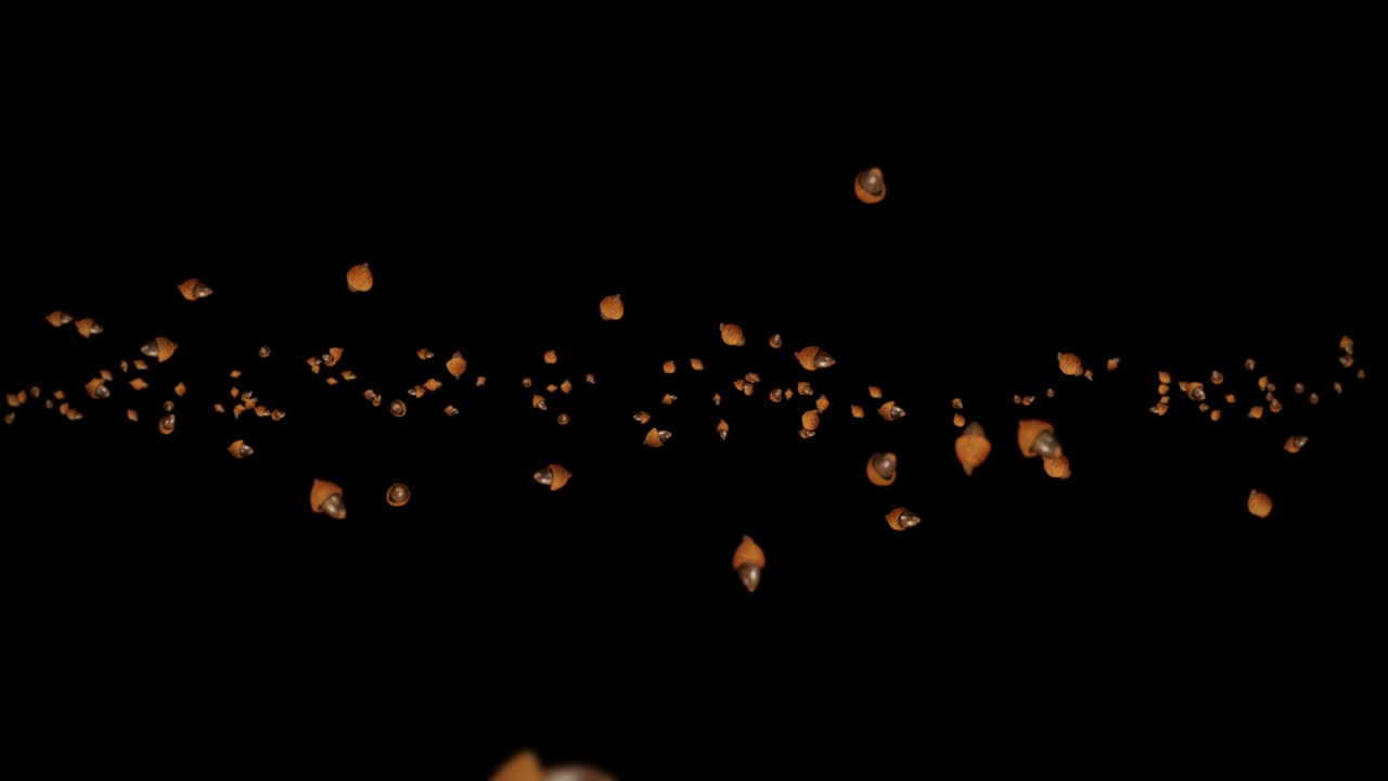 검은색 바탕에 많은 가을 아크론을 날아. 가을의 상징, 오크 견과류, 가을의 선물. 아크론 씨의 3d 애니메이션 회전. 루프 애니메이션.