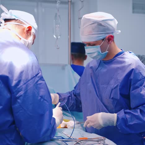 portrait of team of surgeons at work