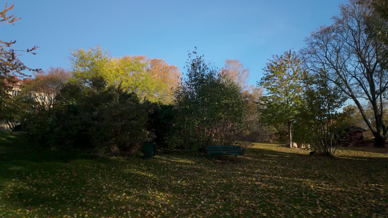 가을 공원 장면