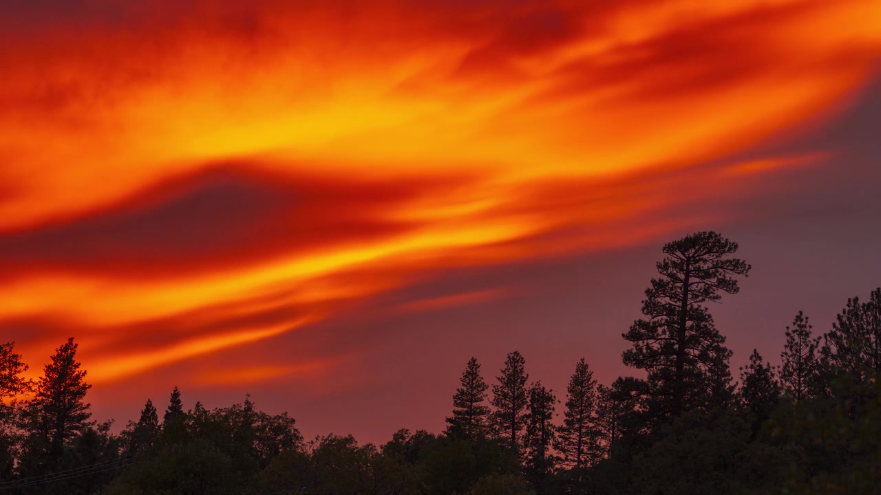 Zeitraffer eines Sonnenuntergangs vor der Silhouette einer Ponderosa-Kiefer in den San Bernardino Mountains, mit glühenden orangefarbenen Wolken, gefilmt in der Nähe von Lake Arrowhead, Kalifornien