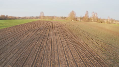 flying above brown garlic agricultural land furrow during sunny autumn day