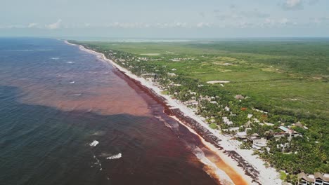 aerial, aquatic pollution, invasive beach sargassum, coastline hazards