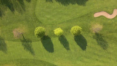 árboles-Bellamente-Cuidados-De-Pie-En-Un-Campo-De-Golf-Verde-Y-Exuberante-En-El-Campo-Rural-Del-Norte-De-Rhine---Westfalia,-Alemania