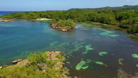 vuelo bajo sobre la playa de cabrera en la provincia de maria trinidad sanchez con una hermosa vista entre las palmeras y el agua azul turquesa con un cielo azul y un día soleado