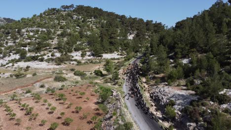camino del pastor de cabras