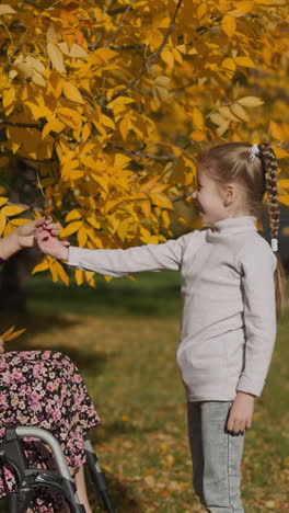 smiling preschooler daughter presents mother yellow autumn leaves in park. woman with spinal cord injury takes dry leaves playing with girl happily on sunny day