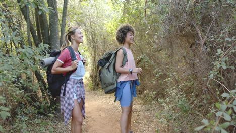 two women with backpacks hike on a forest trail