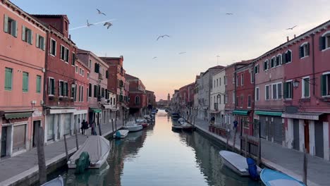 Gaviotas-Volando-Sobre-Los-Canales-De-La-Isla-De-Murano,-Venecia,-Italia.