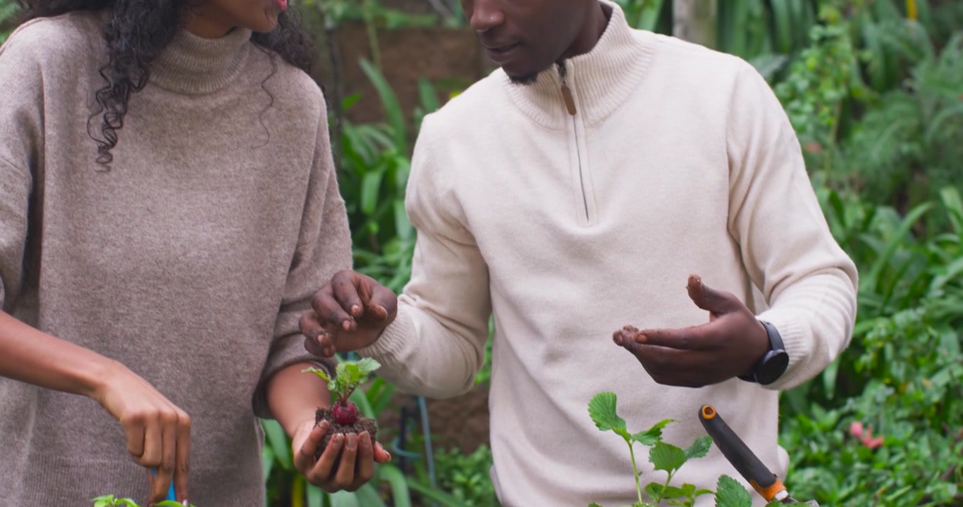 African American man, Indian woman seeing seed trays potting plants in yard with trowel for pots
