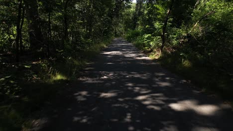 A-low-angle-drone-view-of-a-paved-path-in-a-park-on-a-sunny-day