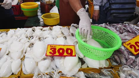 un empleado pone calamares frescos en una canasta en un puesto en el mercado de pescado local.