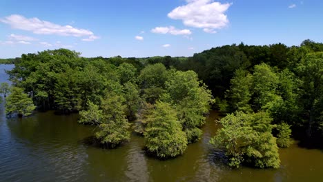 Lake-Marion-Fliegt-über-Zypressen,-Lake-Marion-Sc,-Lake-Marion-South-Carolina,-Santee-Cooper-Lakes