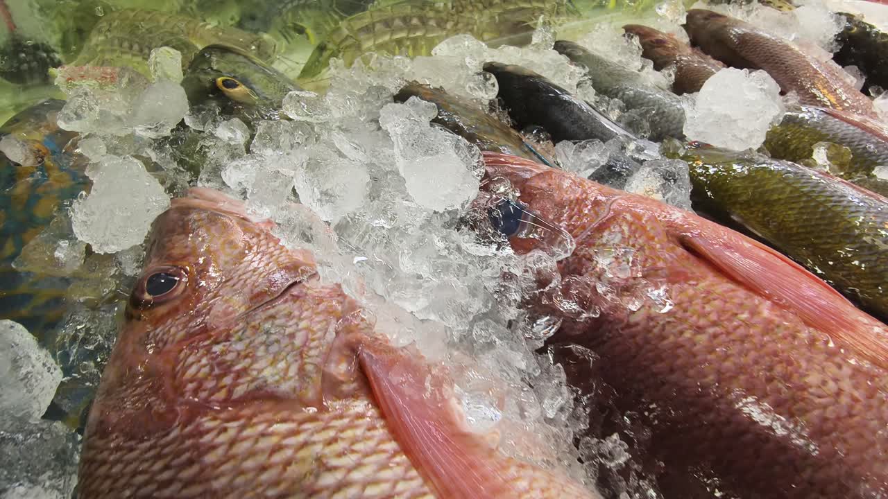 시장 에서 신선 한 물고기 를 전시 하는 것