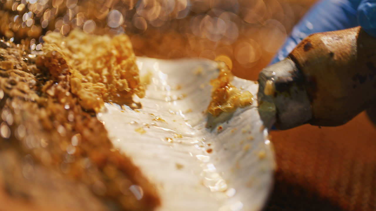 The Beekeeper Strips Wax and Produces Honey