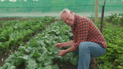 mature man working on farm