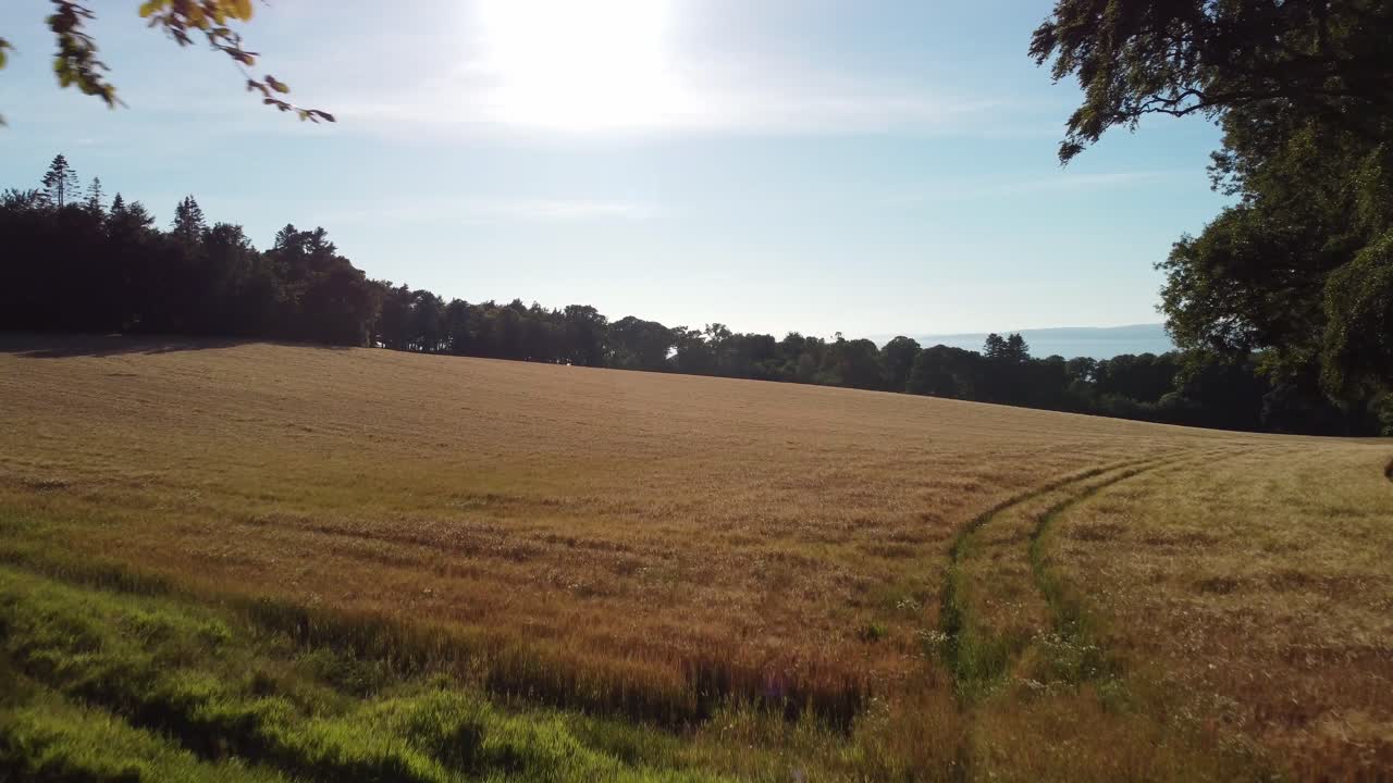 imágenes de drones de exuberantes campos verdes