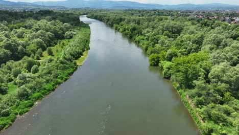 peaceful river with woodland riverbanks ecosystem flowing through rural area