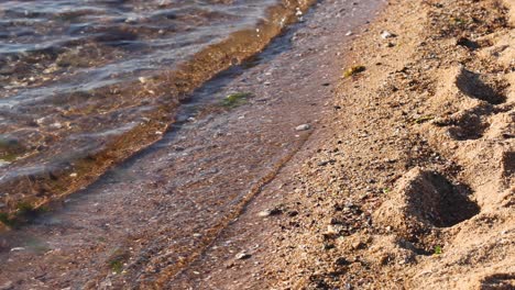 waves gently wash over sandy footprints