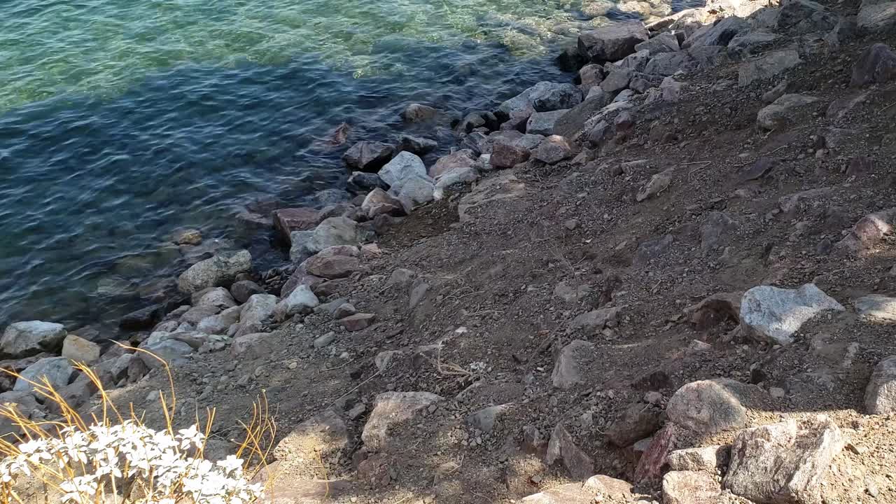 A pesca a Willow Beach sul Lago Mead.