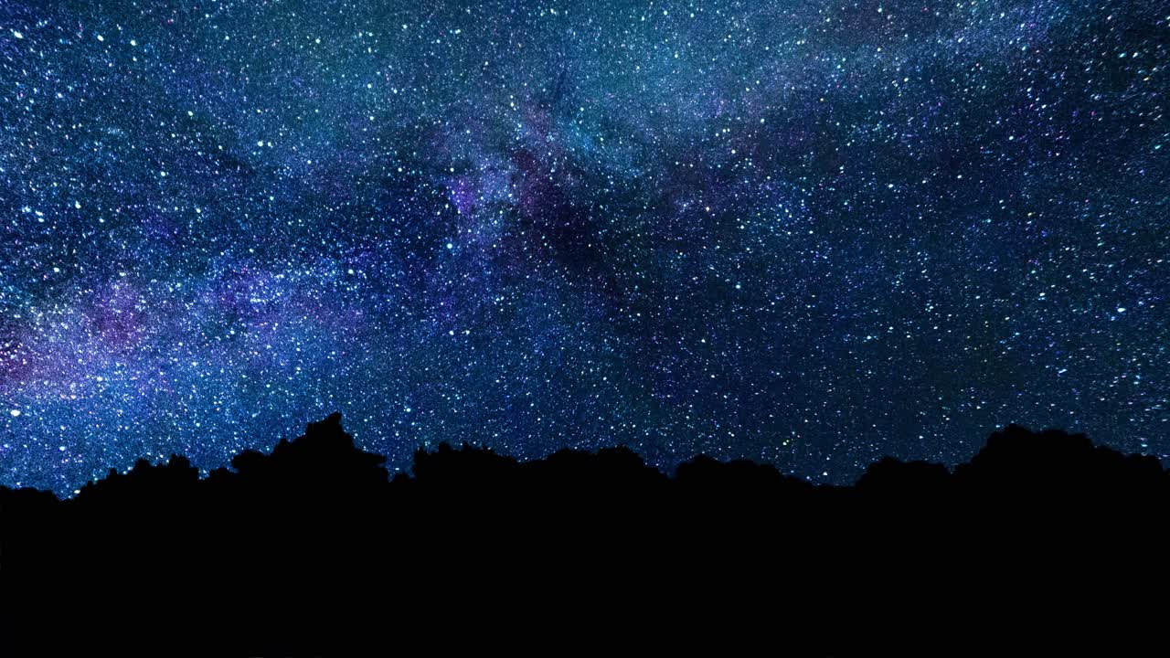 숲 위의 별이 가득한 밤하늘