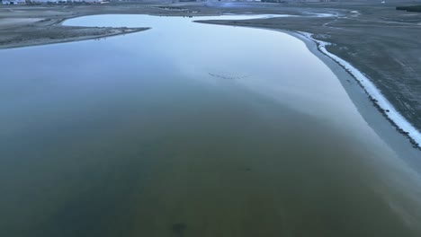 Birds-flying-over-calm-lake