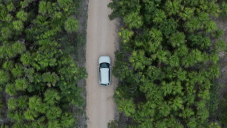 Geländewagen-Fahren-Auf-Einer-Halbinsel-Durch-Grünes-Tulum-Mexiko-Von-Oben-Nach-Unten-Geschossen